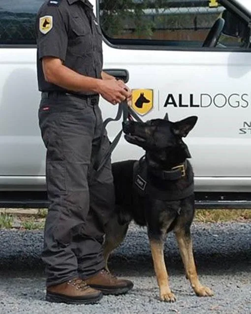 How safe are Tanzania’s safari lodges? 1 onsite k9 patrol unit