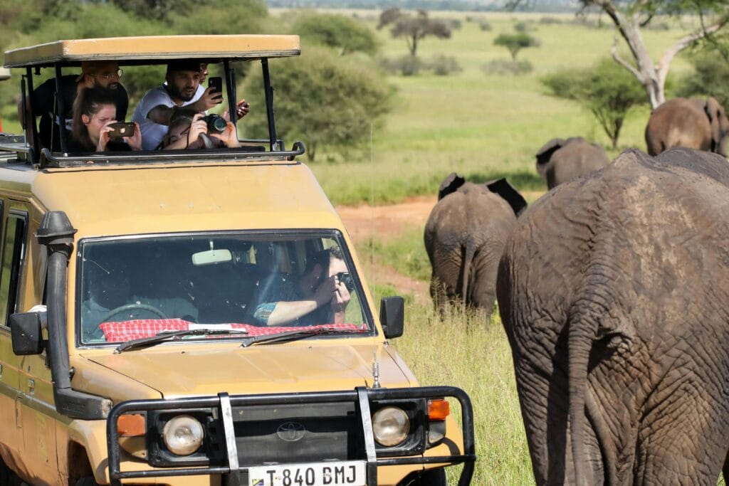 Best Safari Photography Tours: Capture the Essence of Africa 34 Tourists in a safari vehicle observe and photograph elephants during an African safari.