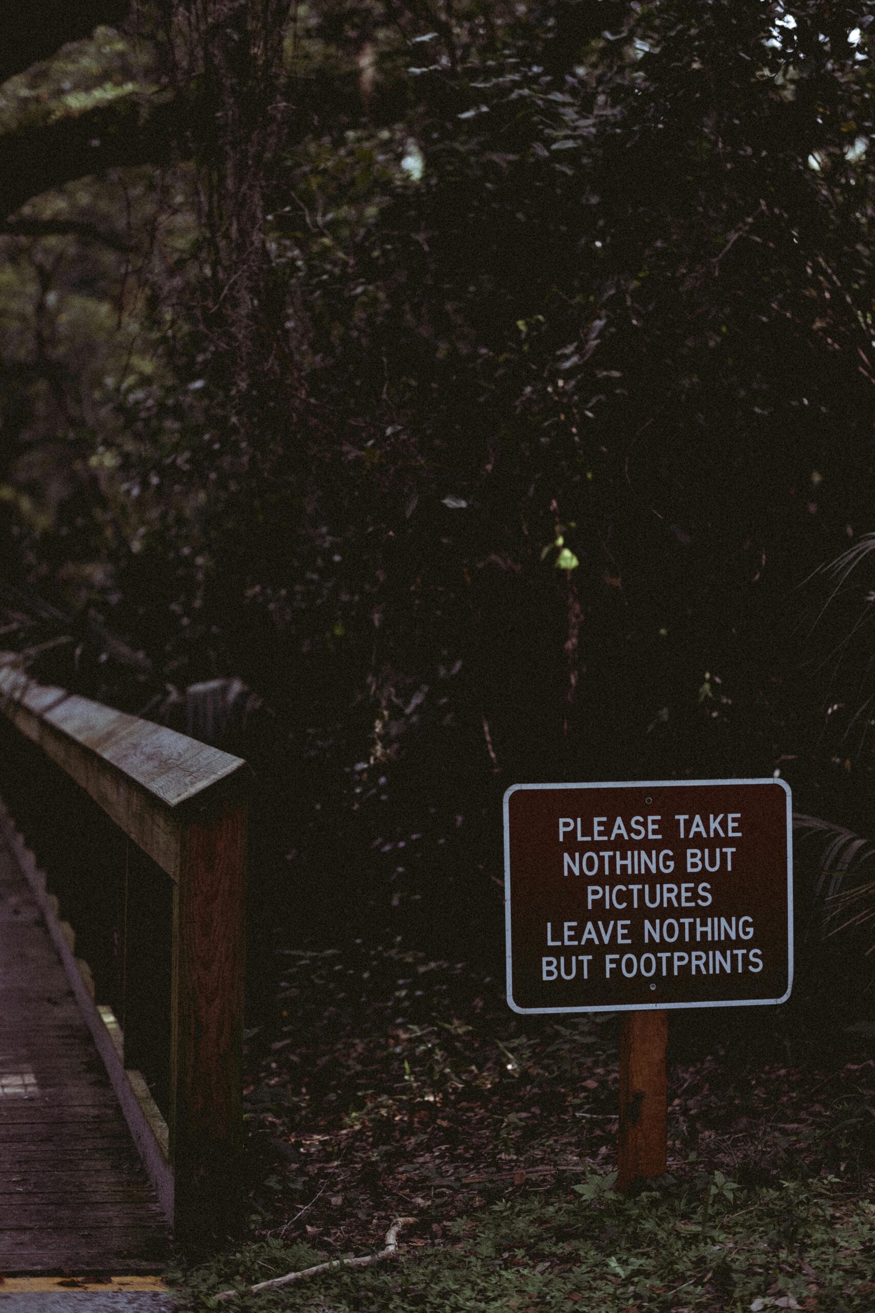 Responsible safari tourism guidelines 1 A forest trail with a sign urging visitors to leave no trace, emphasizing conservation.