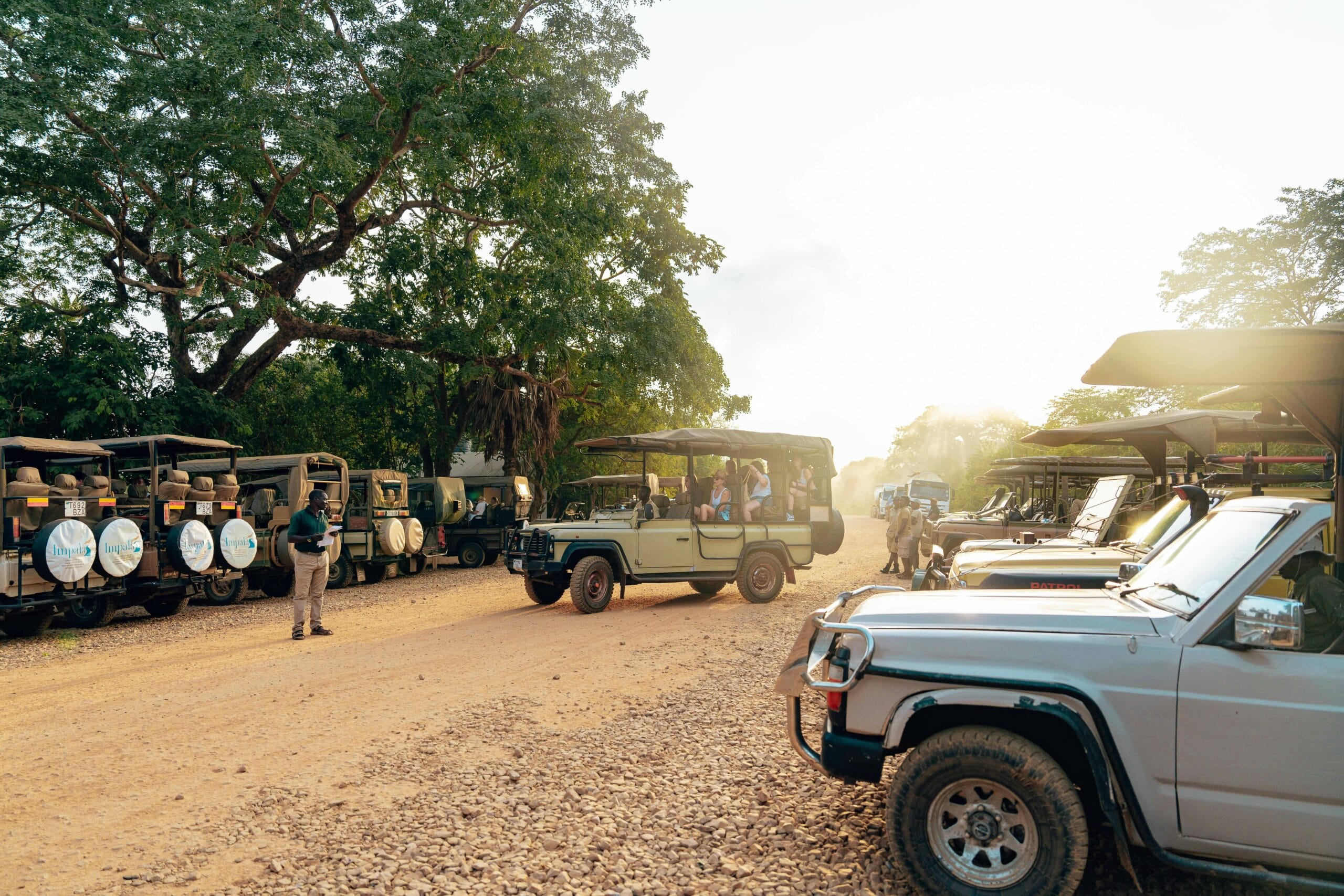A scenic safari experience showcasing parked jeeps under sunlight on a dirt road with lush trees.