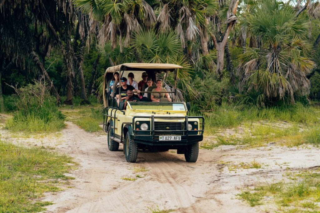 Ultimate Family Safari in Tanzania – Unforgettable Wildlife Adventures with Kids 22 Explore the wild on a safari with an off-road vehicle carrying adventurers through tropical landscapes.