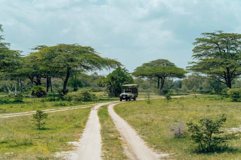 Classic Tanzania safari routes 15 Safari vehicle driving through a lush African landscape with acacia trees on an unpaved road.