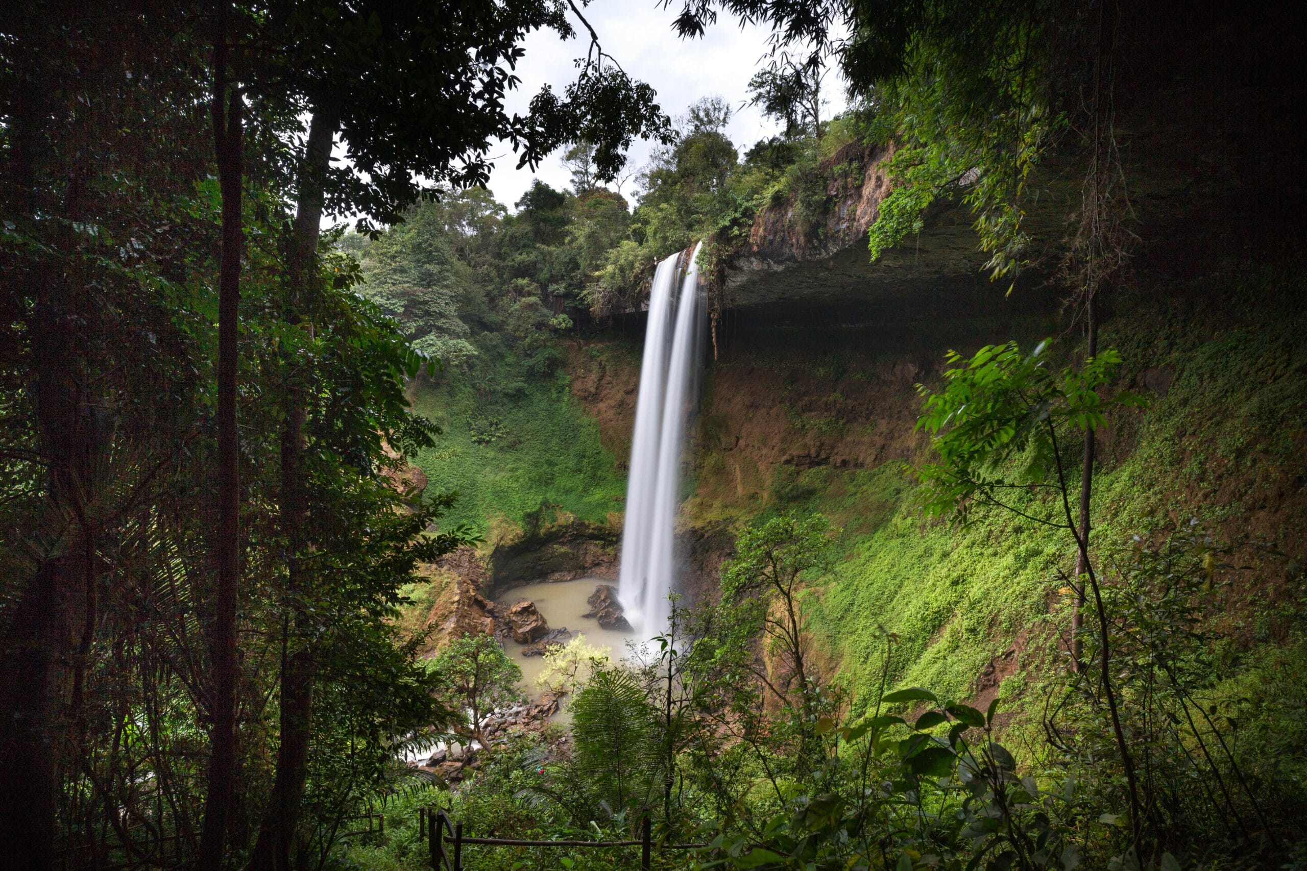 A breathtaking view of a waterfall cascading in a verdant rainforest, showcasing nature's beauty.