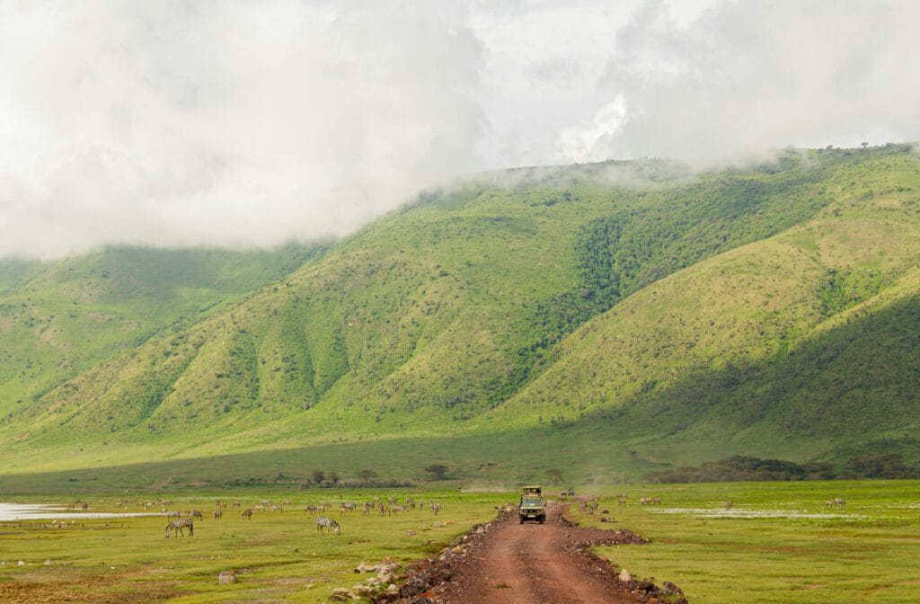 Why visit Ngorongoro Crater 11 Explore the vast landscapes and wildlife of Ngorongoro Crater with a safari jeep adventure.