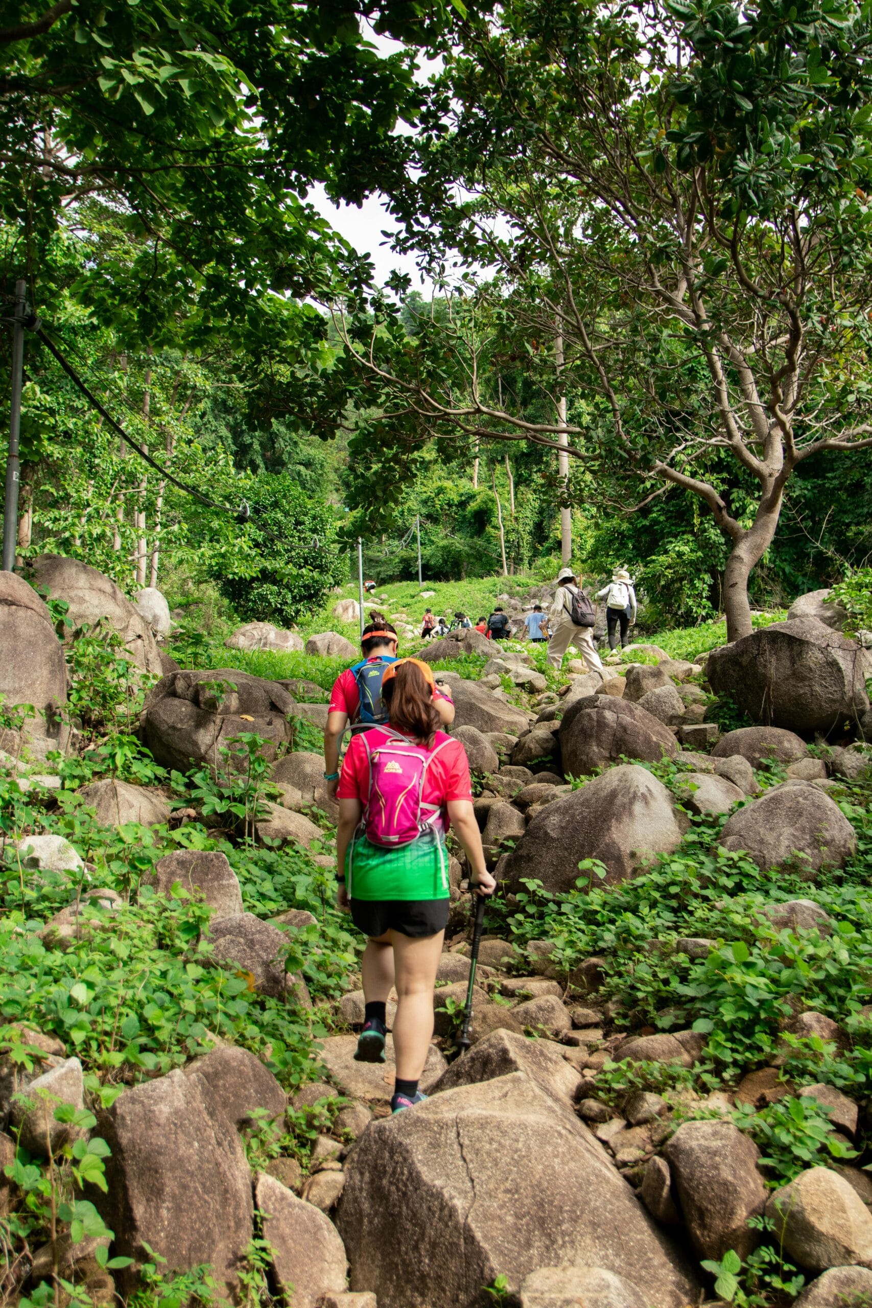 10-Day Ultimate Tanzania Safari for Nature Enthusiasts – Explore the Heart of Africa’s Wilderness 1 Group of hikers walking along a rocky forest path amidst lush greenery.