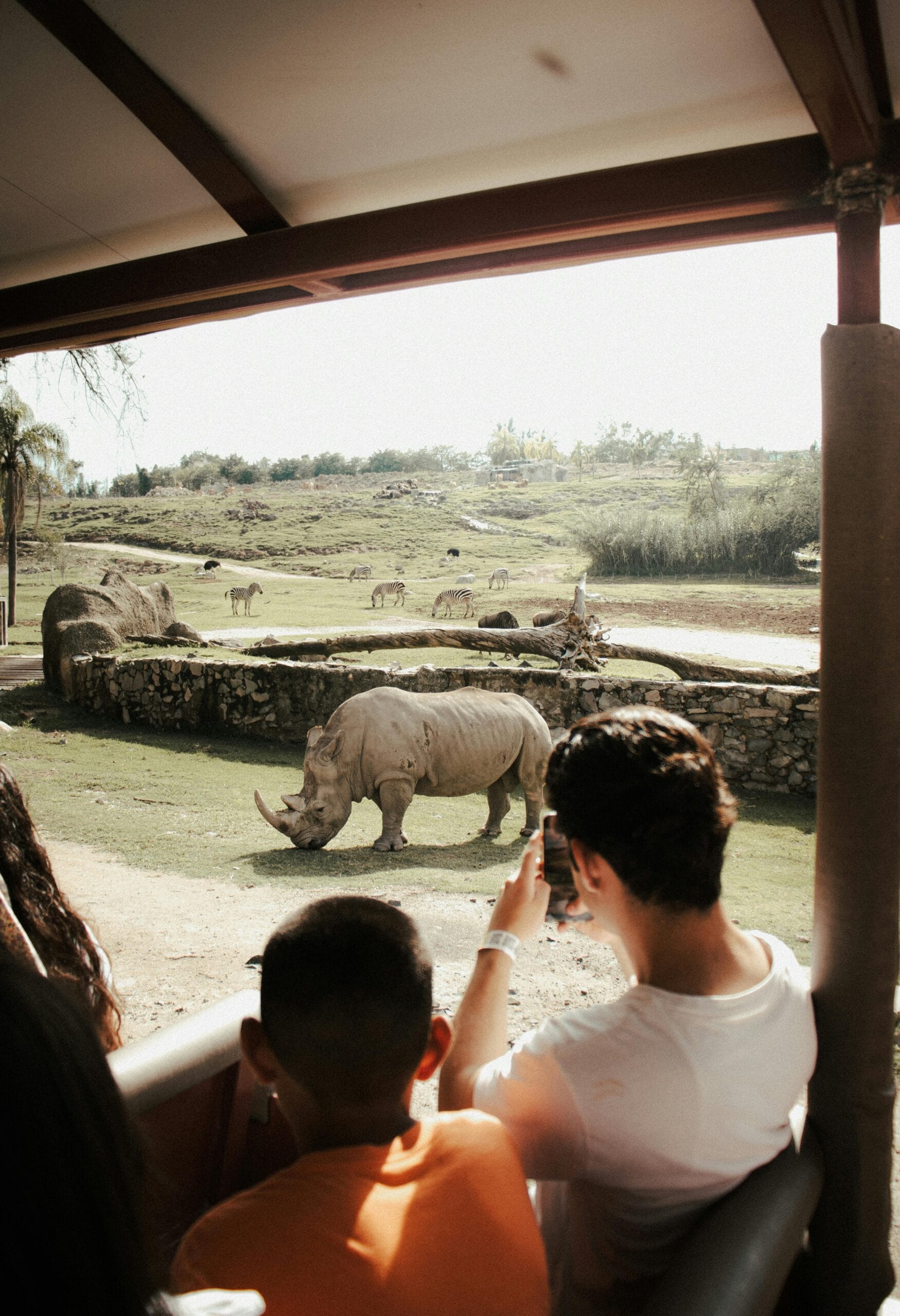 3-Day Family Safari with Child-Friendly Activities 1 Tourists observing a rhinoceros during a safari ride at a wildlife park.