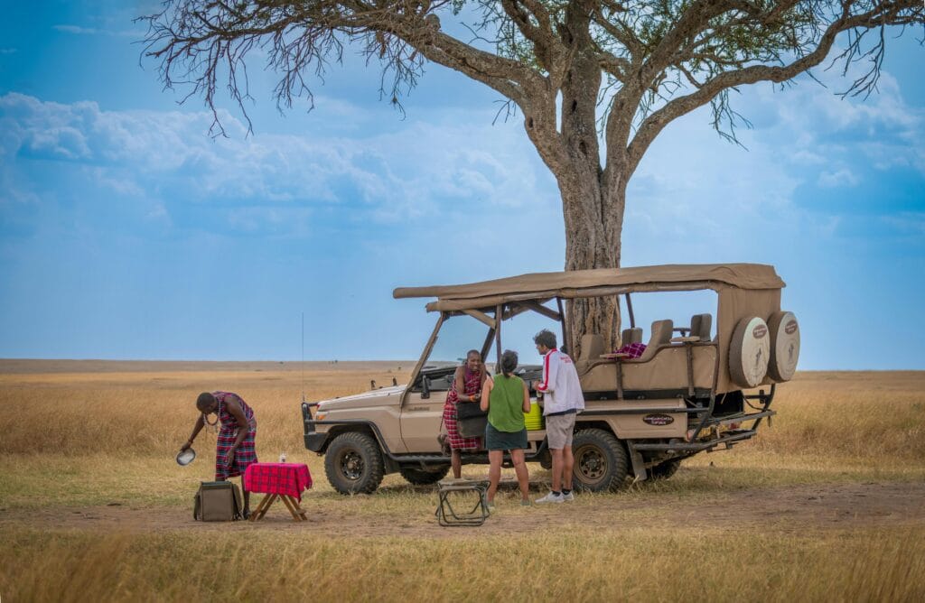 Bush camping vs. lodge safari experiences 12 Group enjoys a safari near an acacia tree, showcasing a travel adventure experience.