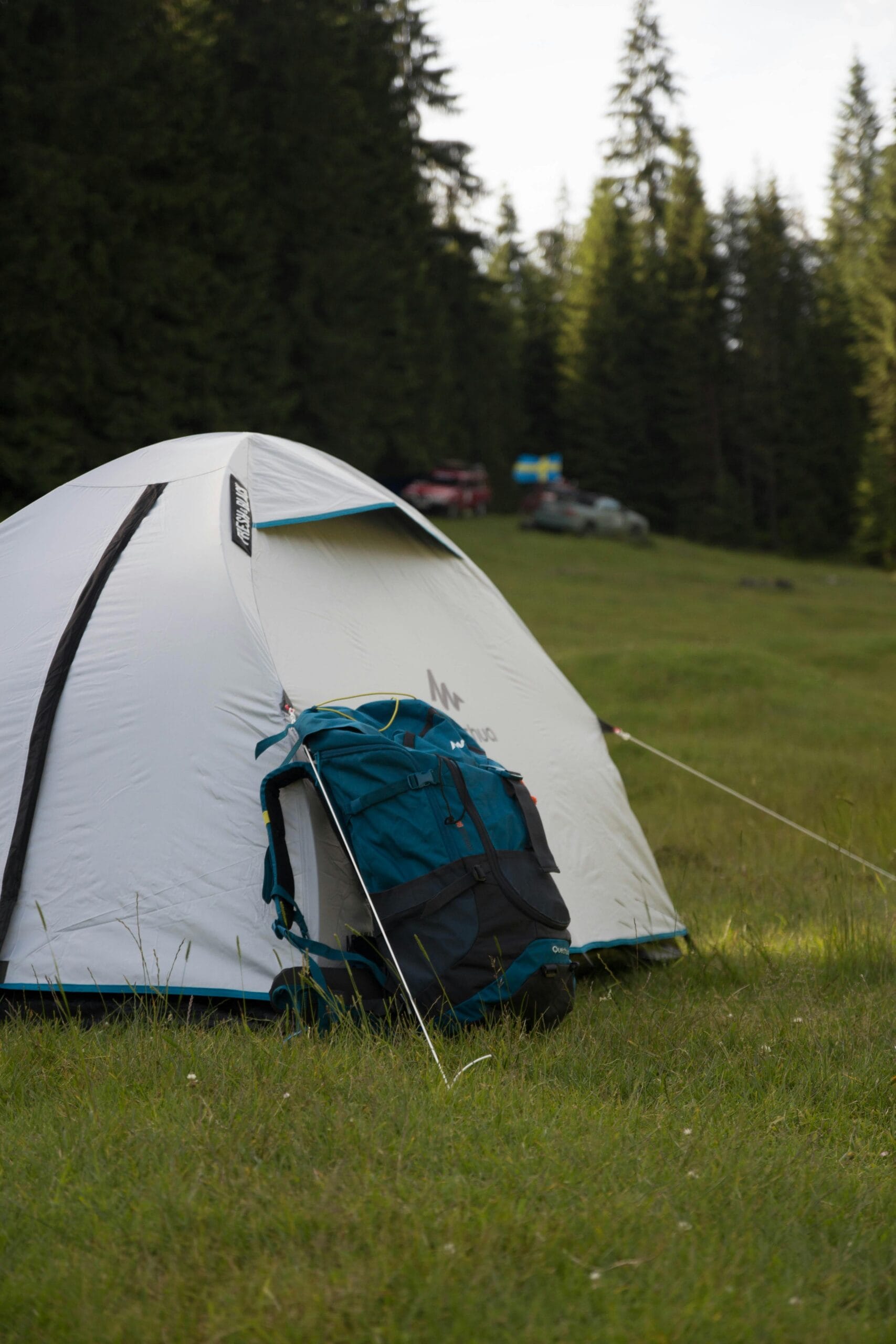 9-Day Budget Camping Safari for Adventurers 2 A serene campsite with a tent and backpack in the scenic Padiş forest, Romania.