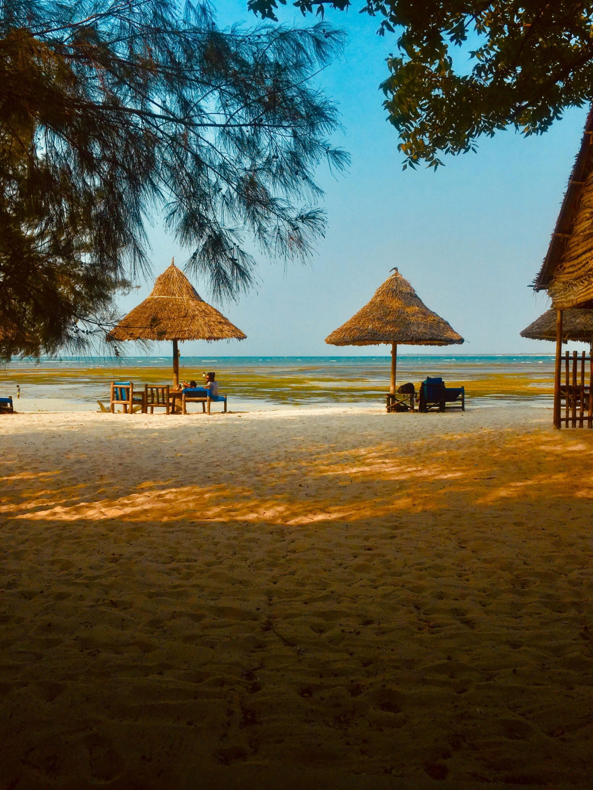 Wildlife Reserves Near Dar es Salaam: Nature’s Wonders Close to the City 1 Idyllic beachfront scene in Dar es Salaam, perfect for relaxation and tropical getaways.