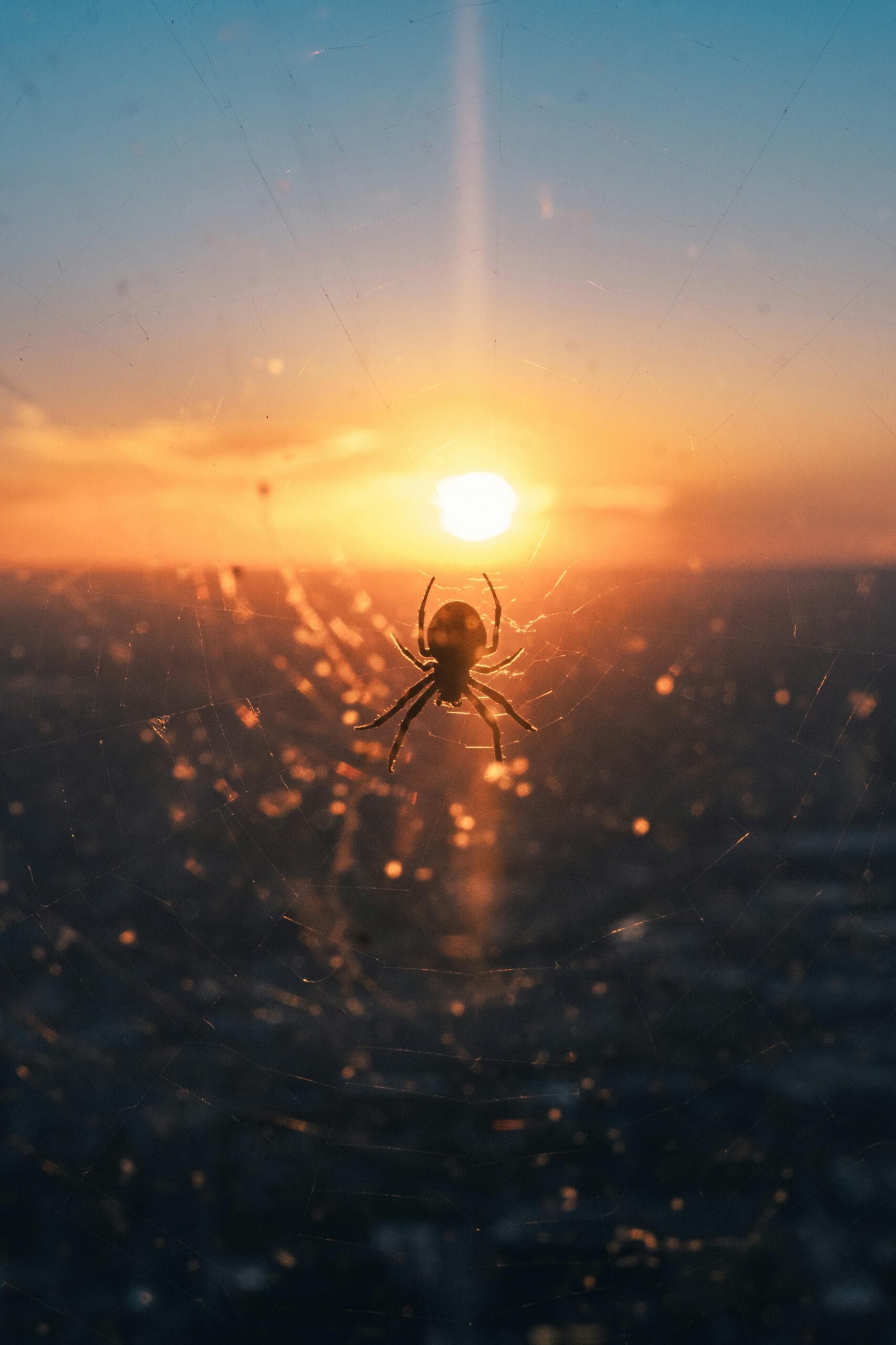 How to Avoid Insect Bites on Safari: Stay Protected in the Wild 2 pexels-photo-29617304-29617304.jpg