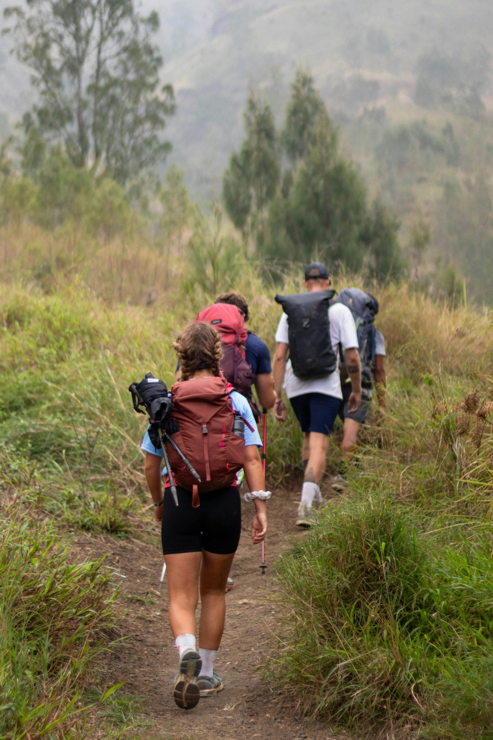 Peak Season Safari Experiences in Tanzania: The Ultimate Wildlife Adventure 1 Hikers exploring scenic trails of Mount Rinjani, Lombok. Perfect for adventure enthusiasts.