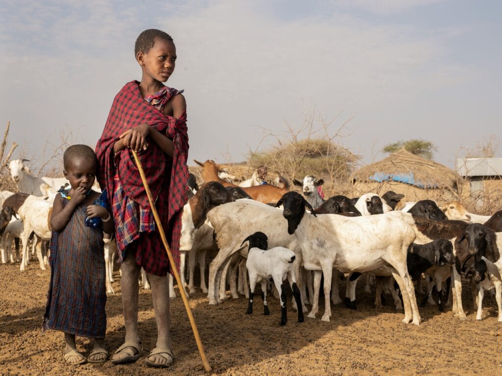 Meeting Local Tribes in Ngorongoro: An Authentic Cultural Experience 13 Two young Maasai boys handling goats in a rural area of Arusha, Tanzania.