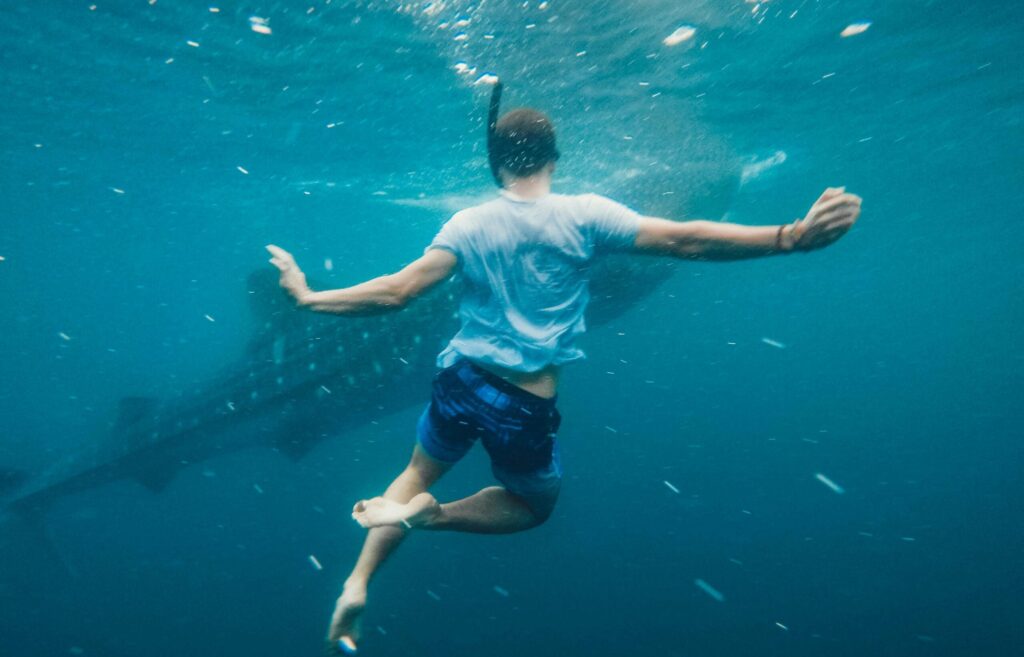 Back view of full body of unrecognizable male swimmer in oxygen mask swimming undersea near big fish