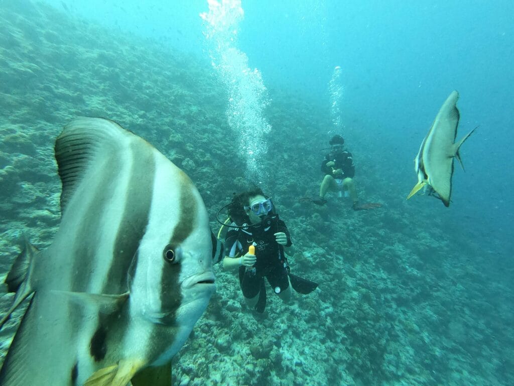 Best snorkeling tours in Zanzibar 35 Explore vibrant marine life with divers amidst fish in Maldives' stunning underwater world.