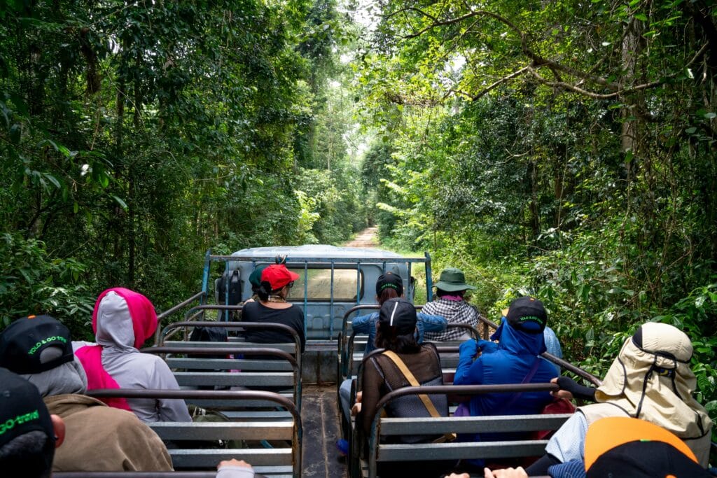 Group Safari Tours for Solo Travelers 16 Anonymous travelers in headwear sitting on seats of truck driving through tropical forest