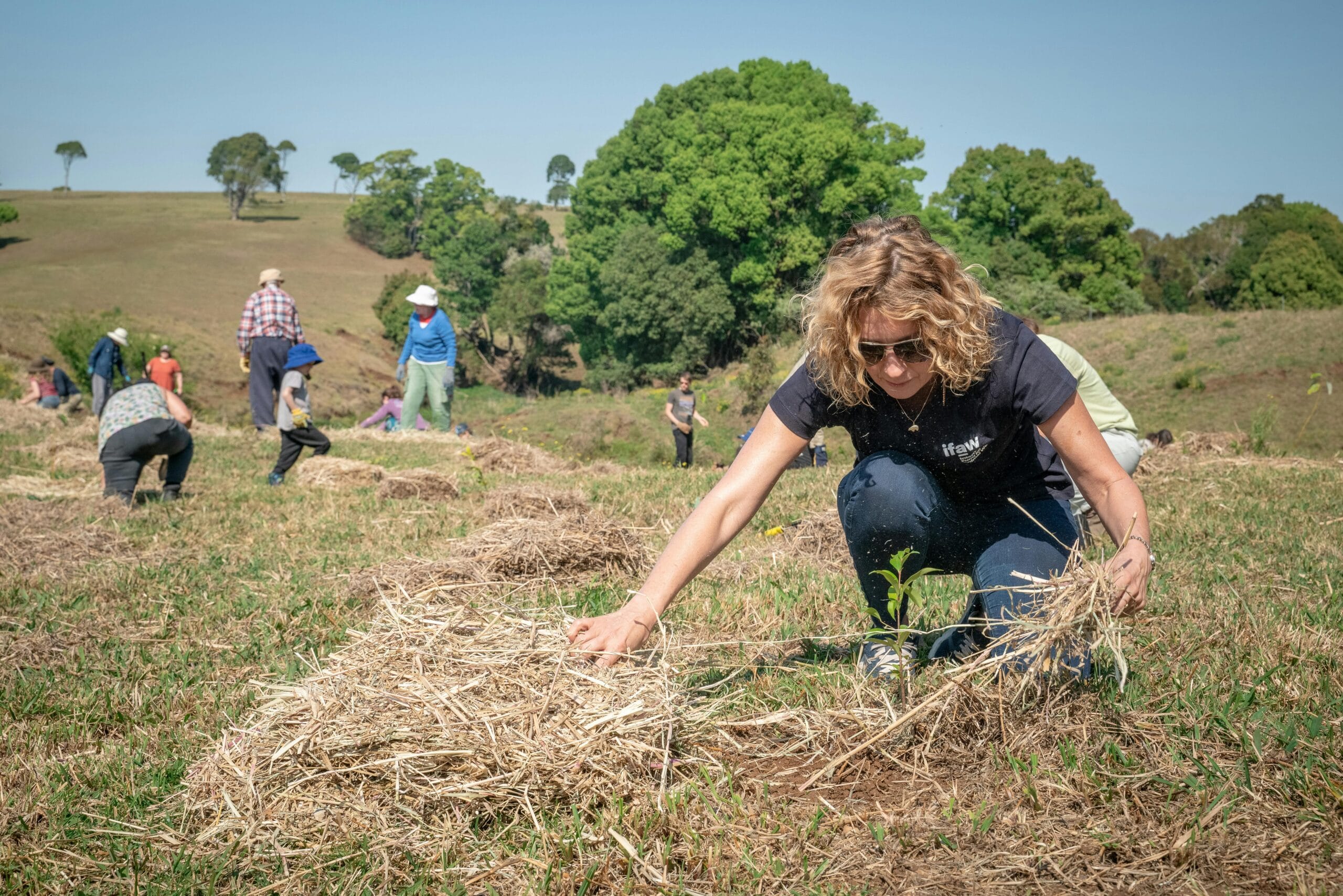 Volunteers participate in a tree planting initiative in Australia, supporting reforestation efforts.