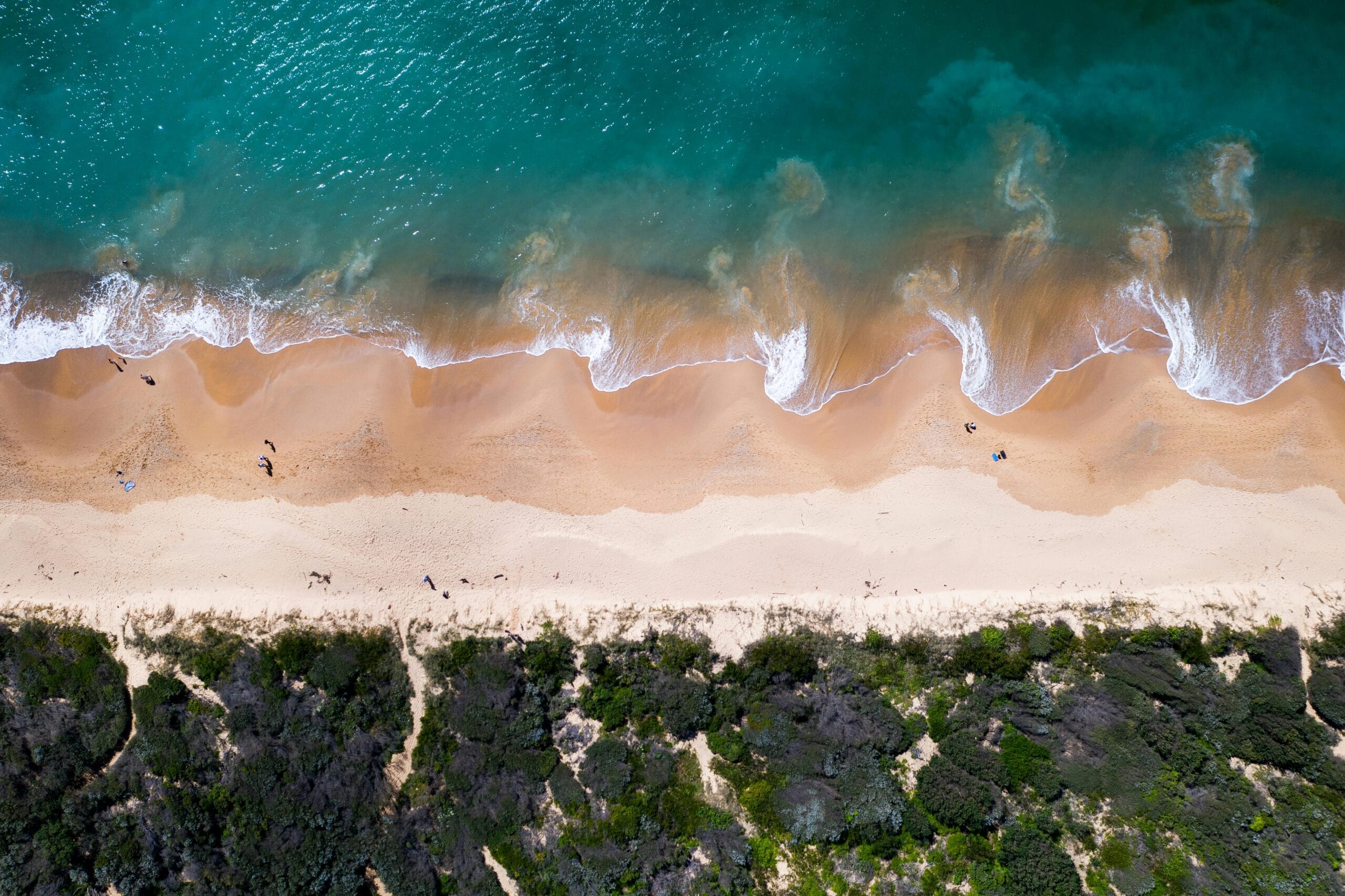 Drone view of turquoise water with foamy waves rolling on sandy seashore with green tropical plants in summer day in nature