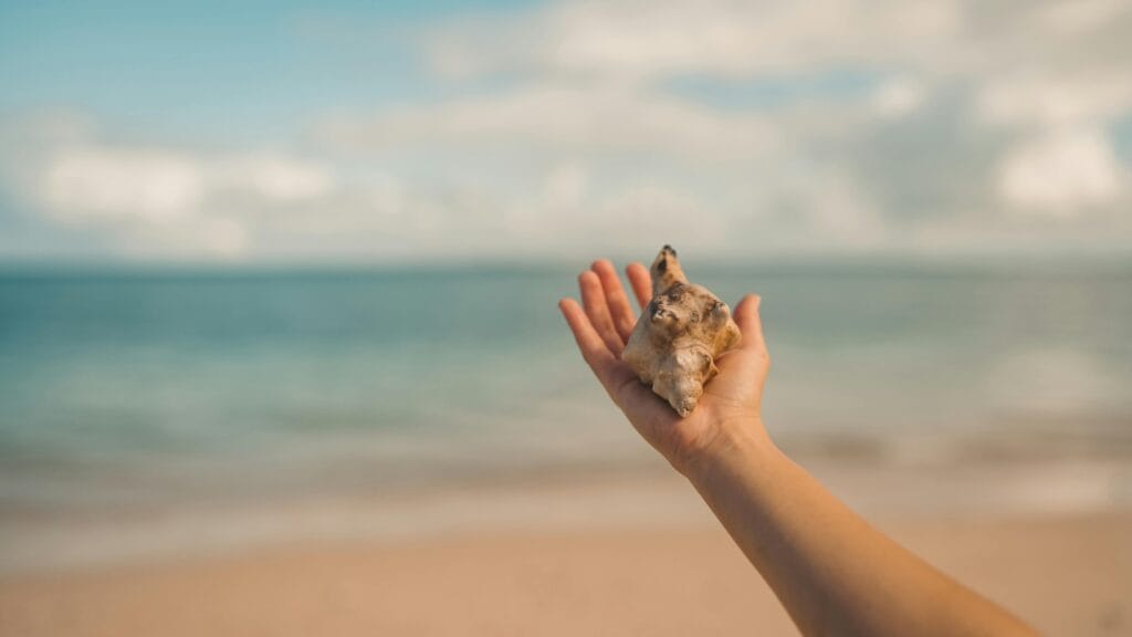 8-Day Big Five Safari and Zanzibar Relaxation Package: The Ultimate African Adventure 17 Hand holding a conch shell with the ocean in the background, on a sunny Zanzibar beach.