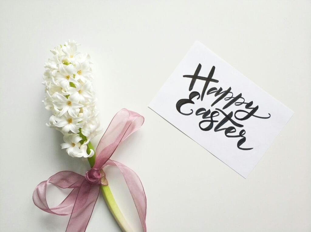 Planning a safari during Easter 19 White hyacinth with ribbon and Happy Easter card on a white background.