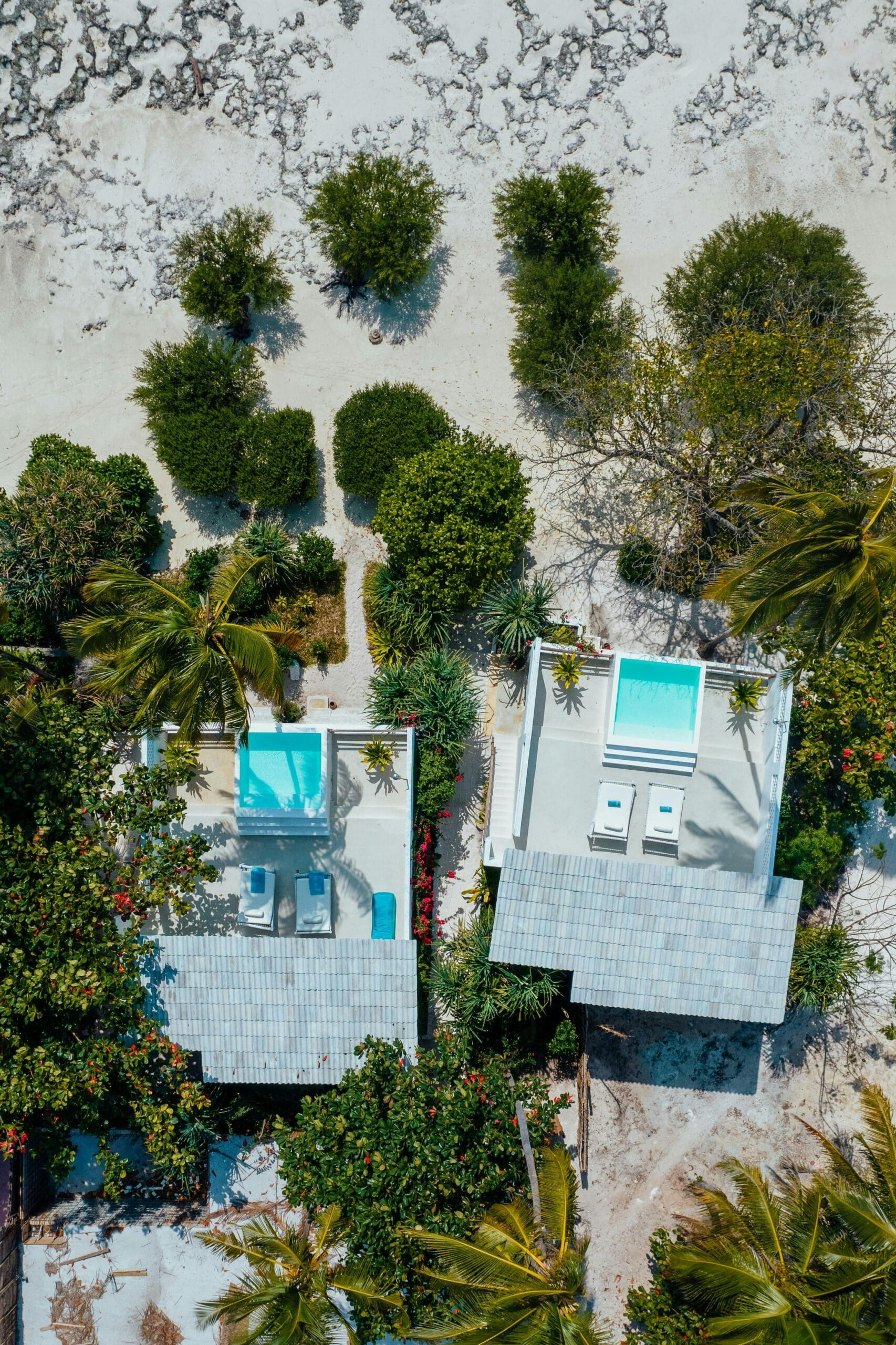 Best family resorts in Zanzibar 2 Top-down view of luxury beachfront villas with private pools and lush greenery in Zanzibar.