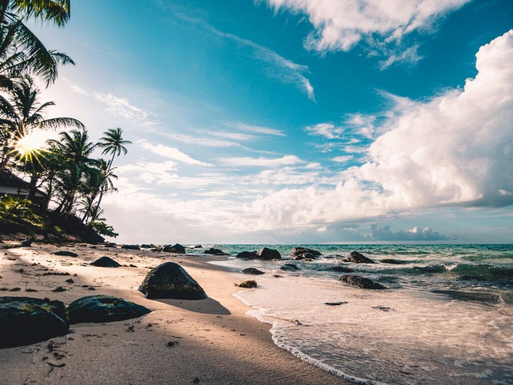 9-Day Luxury Safari with Beach Holiday in Zanzibar 6 Experience the serene beauty of a tropical beach in RAAS, Nicaragua, with palm trees and ocean waves.