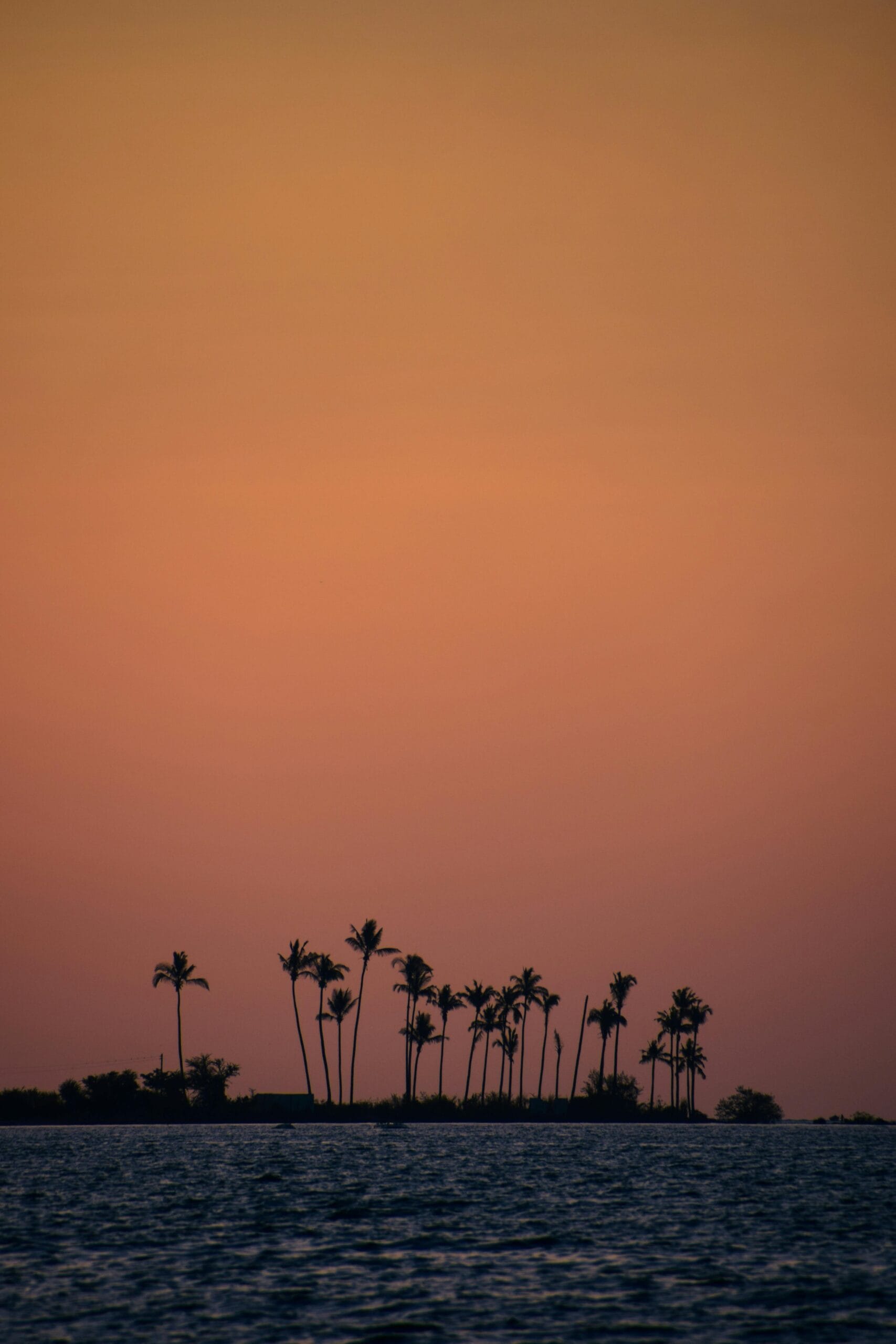 14 Days Tanzania Adventure 2 Silhouette of palm trees on a Tanzanian island with a vivid sunset sky reflecting over the sea.