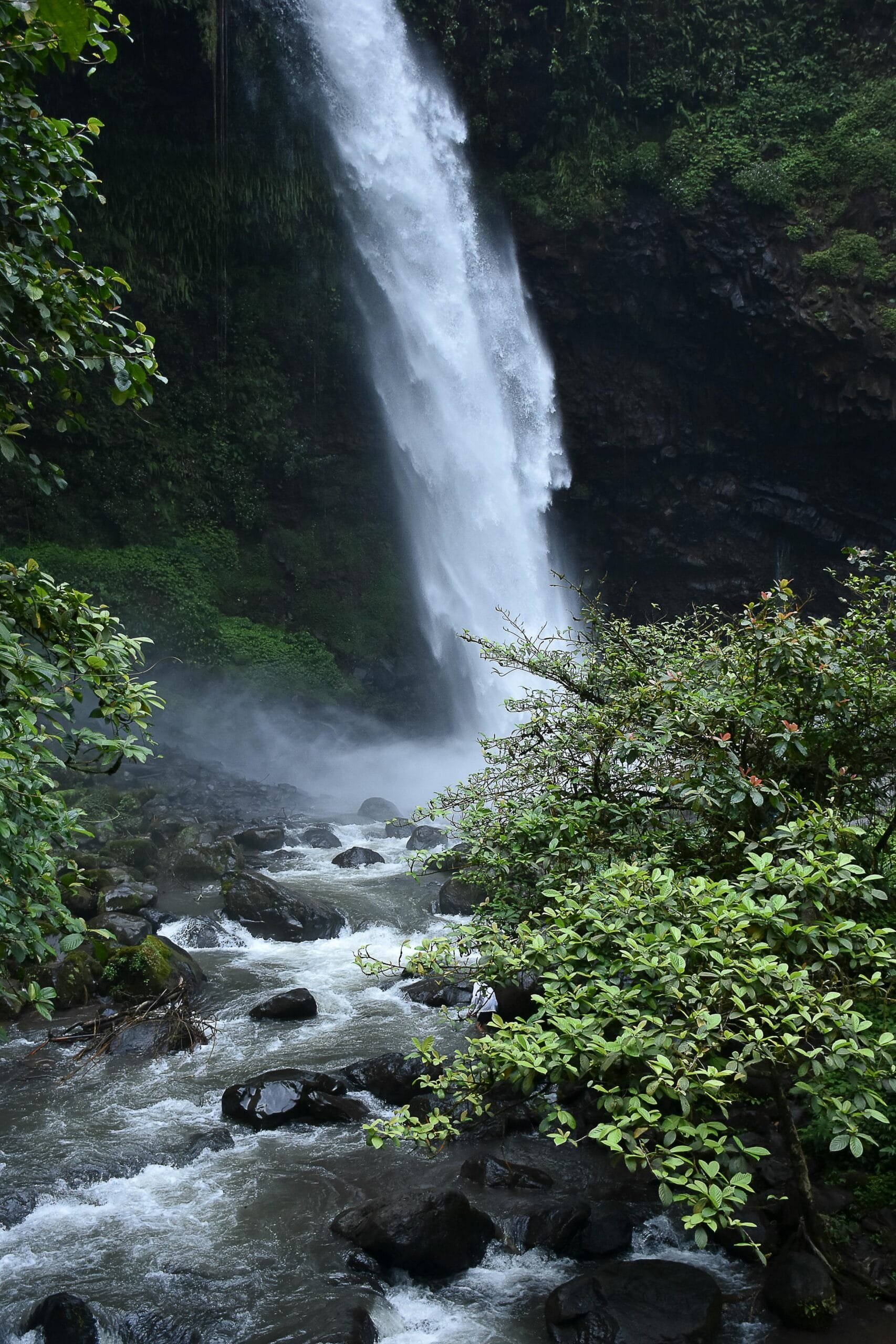 6 Days 5 Nights Tanzania Big Five Safari & Materuni Waterfalls 3 A breathtaking waterfall cascades into a rocky stream surrounded by lush greenery.