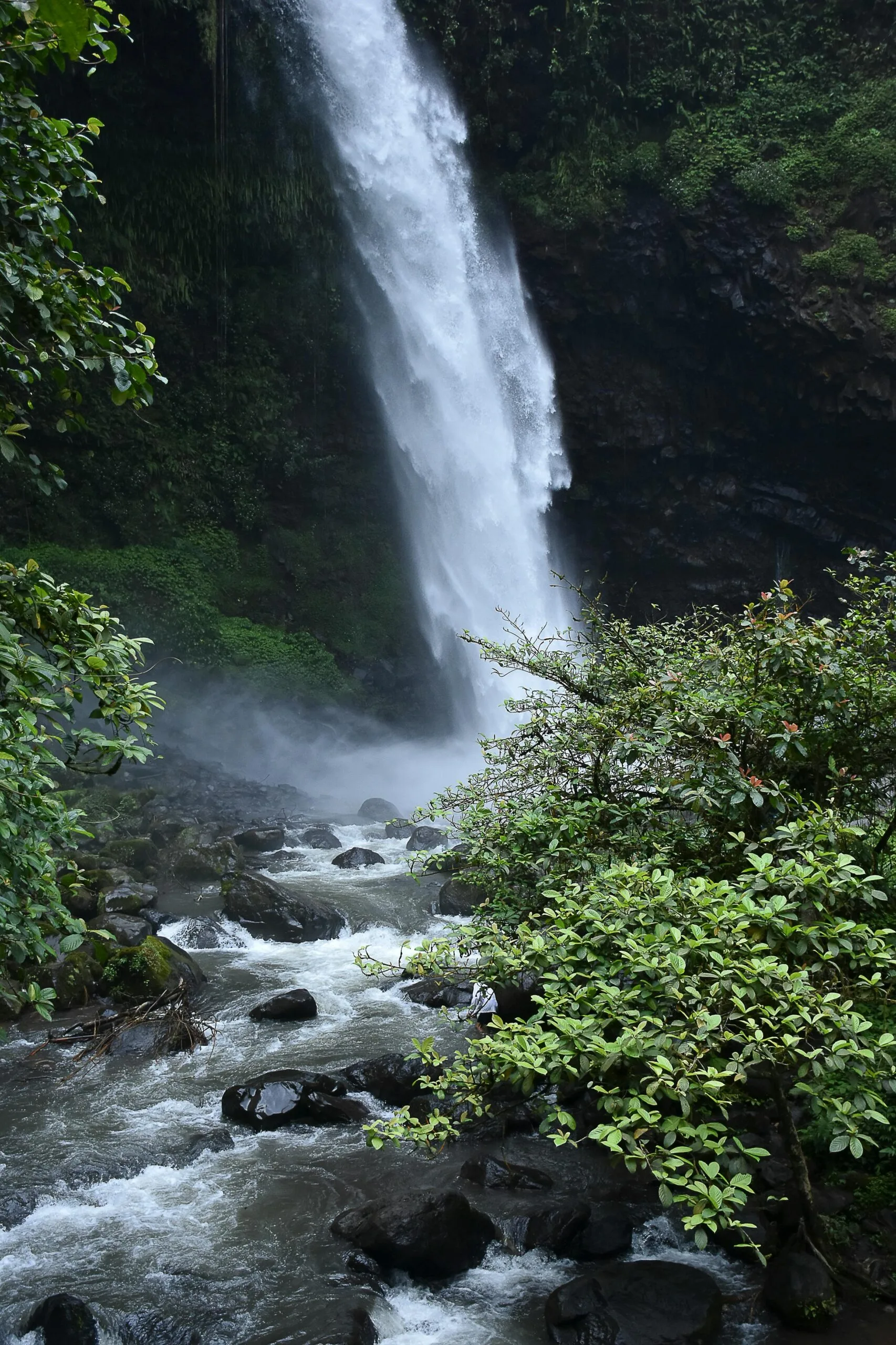 6 Days 5 Nights Tanzania Big Five Safari & Materuni Waterfalls 3 A breathtaking waterfall cascades into a rocky stream surrounded by lush greenery.