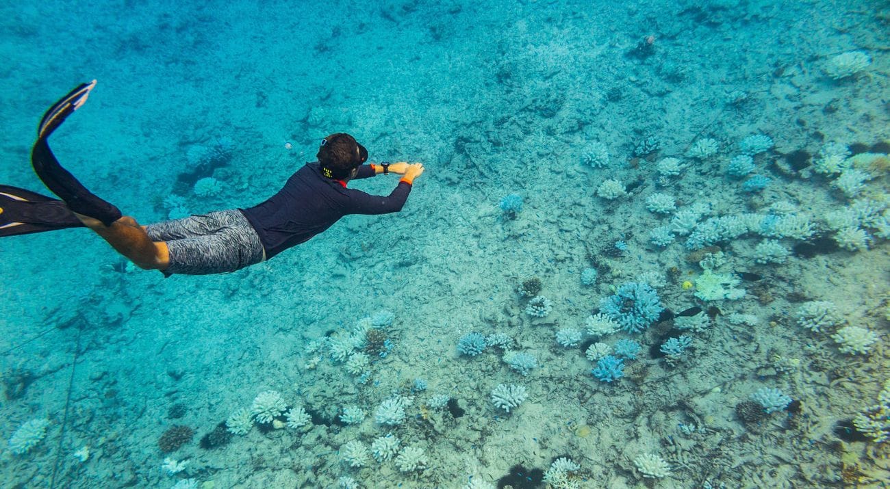 Mnemba Island Dolphin & Snorkeling Tour – Marine Life at Its Best 1 mi5