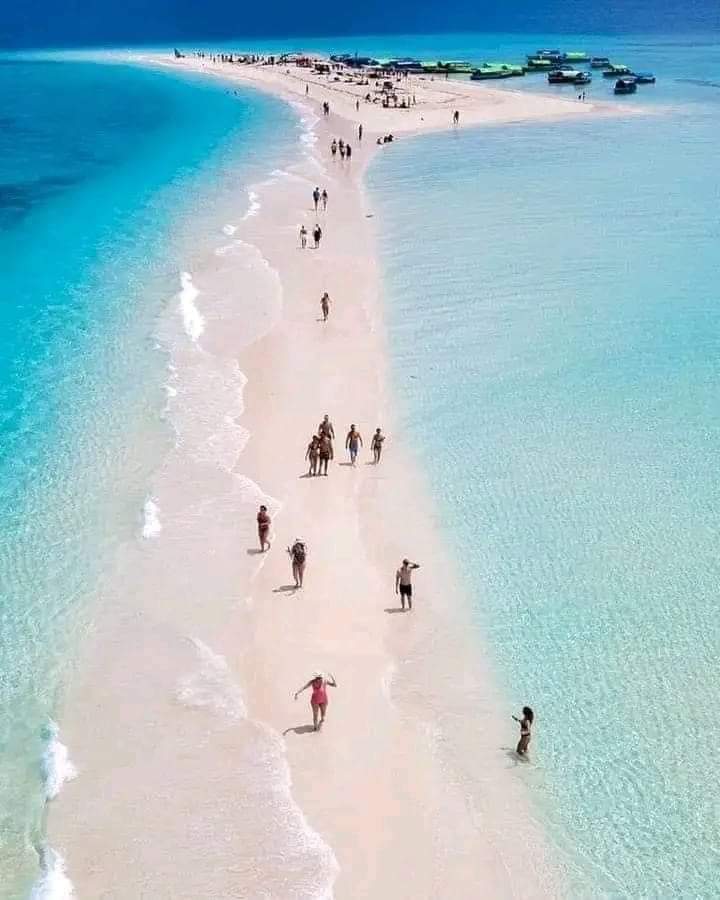 Nakupenda Sandbank Experience – A Romantic Escape on the Ocean 8 ns3