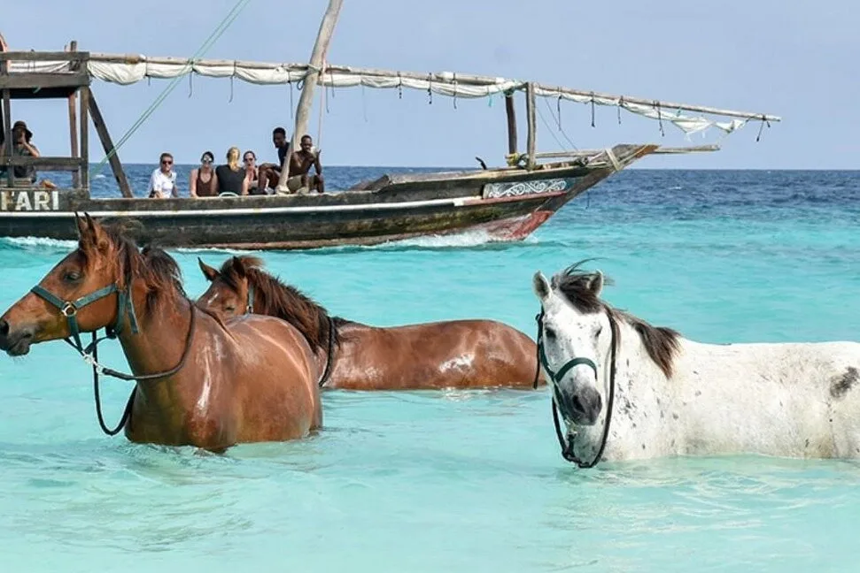 Zanzibar 2 HR1e