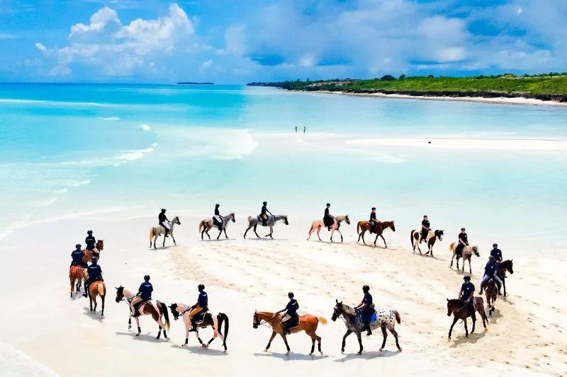 Horse Riding