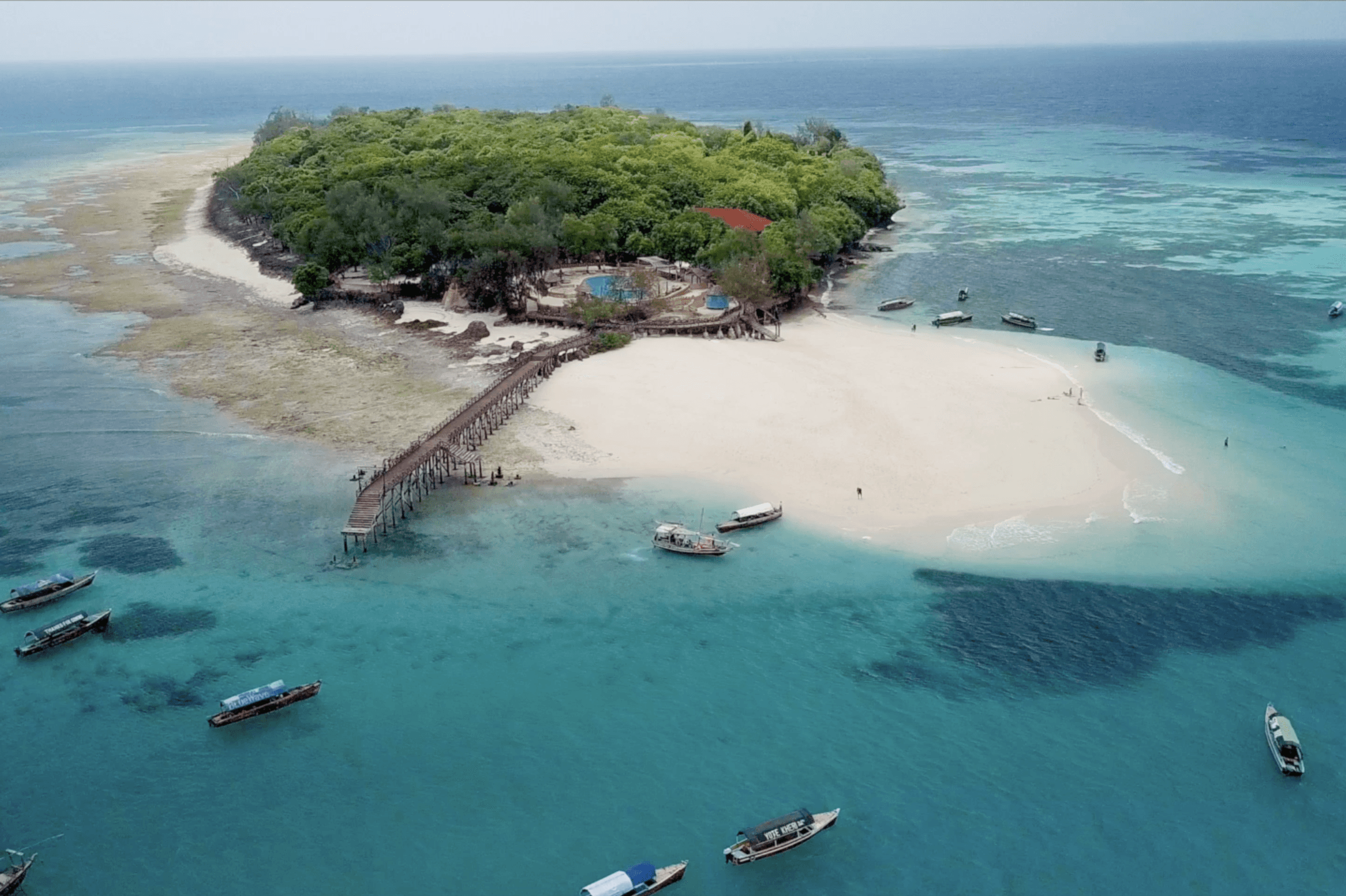 Zanzibar Nature & Ocean Escape: Jozani Forest, Maalum Cave & The Rock Restaurant Day Trip 7 NO3
