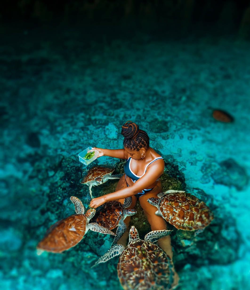 Swim with Sea Turtles in Zanzibar: Nungwi Conservation Adventure & Snorkeling Experience 1 ST1 1