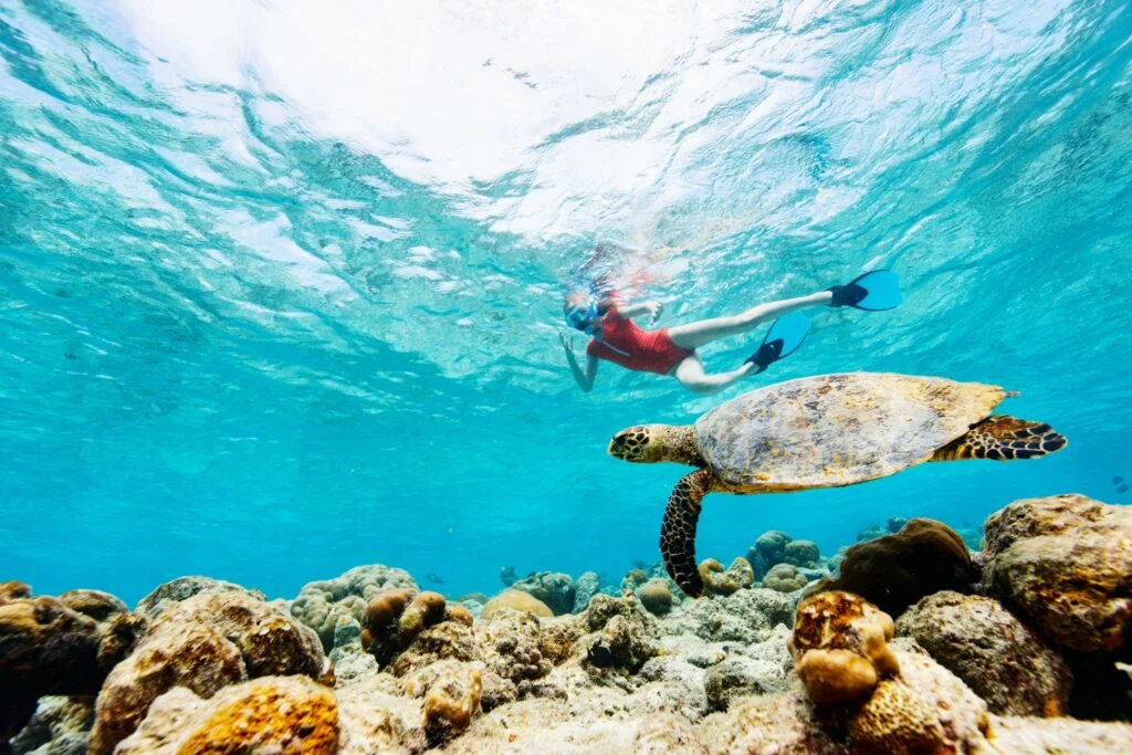 Swim with Sea Turtles in Zanzibar: Nungwi Conservation Adventure & Snorkeling Experience 4 ST4