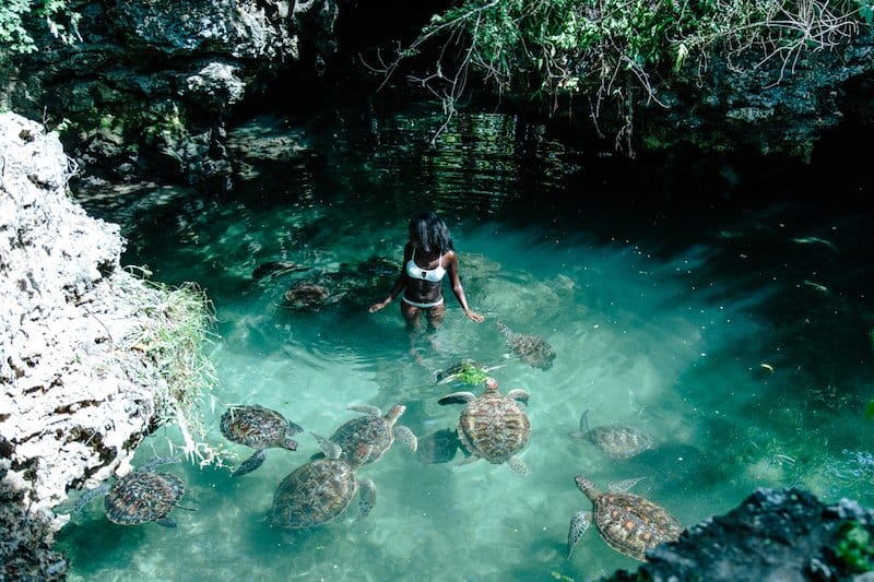 Swim with Sea Turtles in Zanzibar: Nungwi Conservation Adventure & Snorkeling Experience 2 ST5