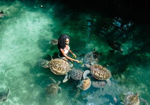 Swim with Sea Turtles in Zanzibar: Nungwi Conservation Adventure & Snorkeling Experience